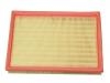 Air Filter:24512521