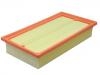 Air Filter:B21-1109111