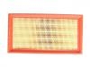 Air Filter:1109113-C03