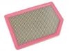 Air Filter:1109130P3040