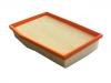 Air Filter:S60A-1109013