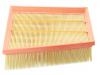 Air Filter:16 54 678 60R