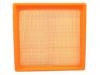 Air Filter:P1401-10036